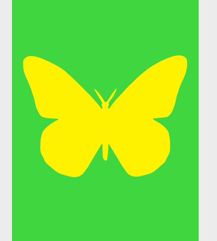 Cards- 2 packs plastic pvc cards Butterfly design
