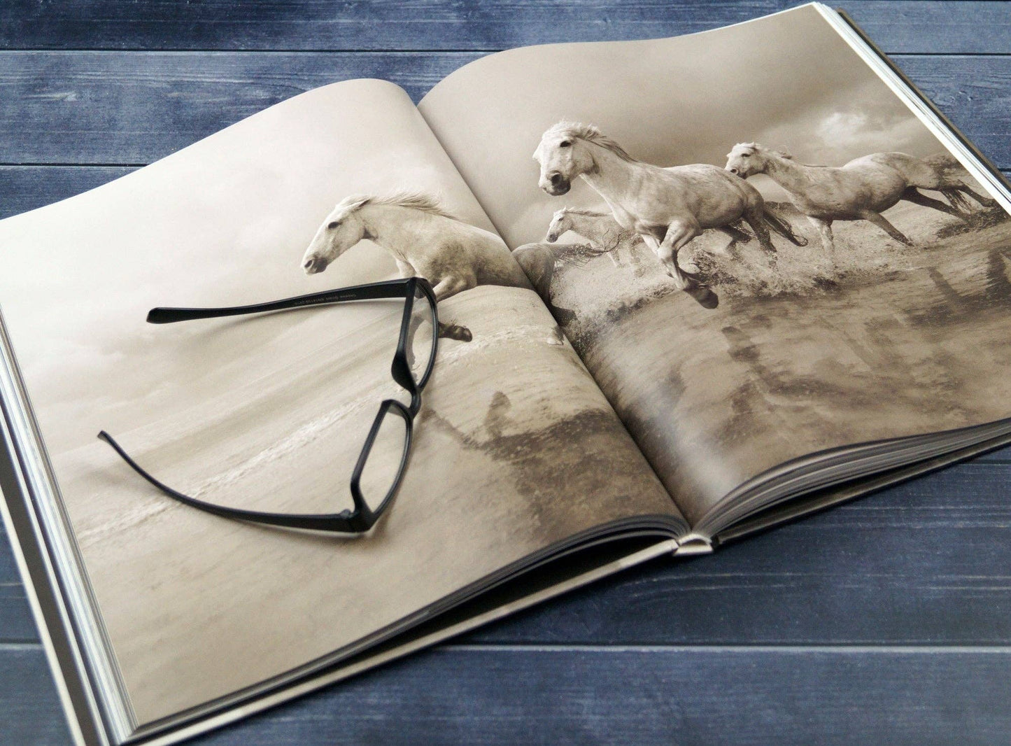 Untamed Spirits: Horses From Around the World