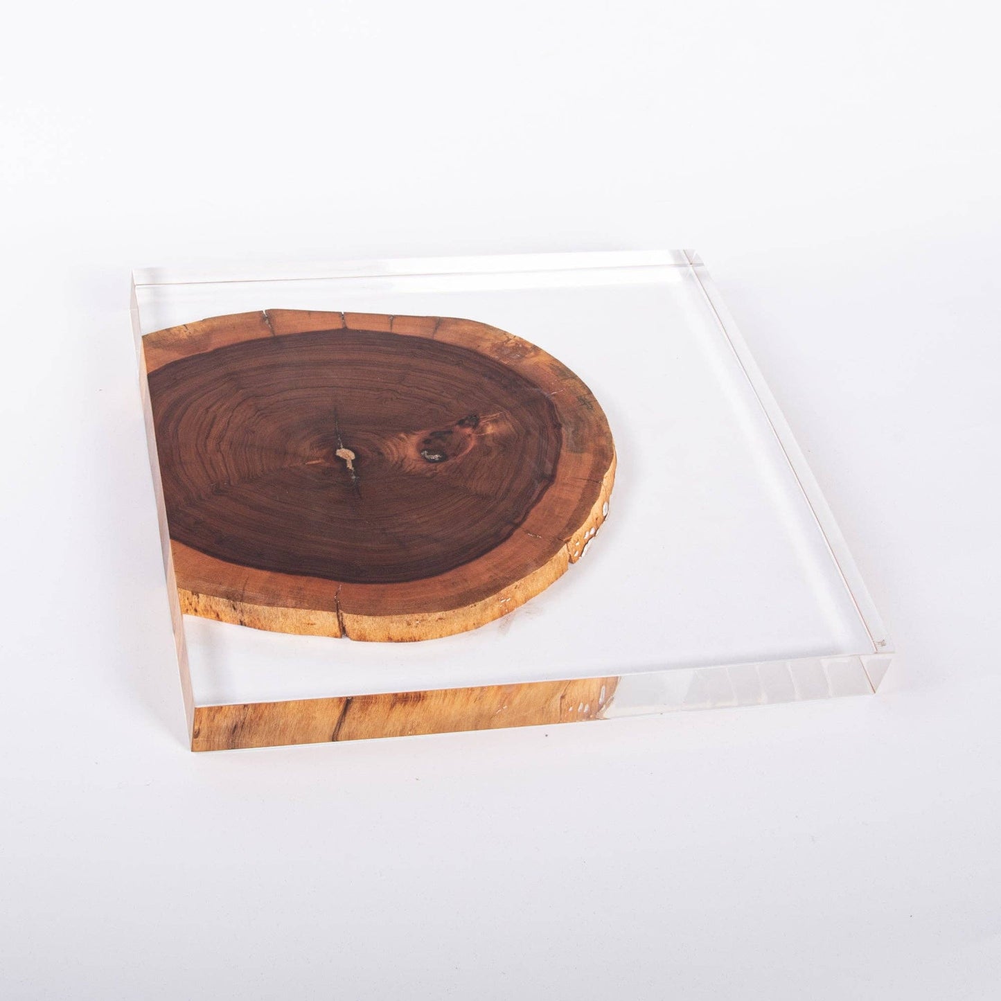 Resin and Rosewood Tray