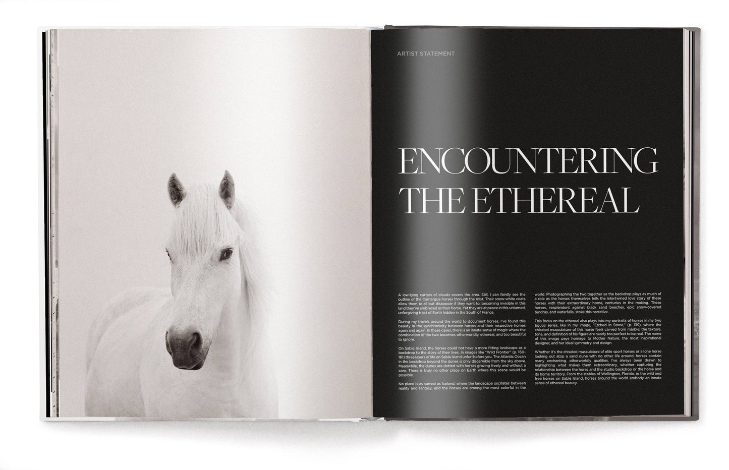 Untamed Spirits: Horses From Around the World