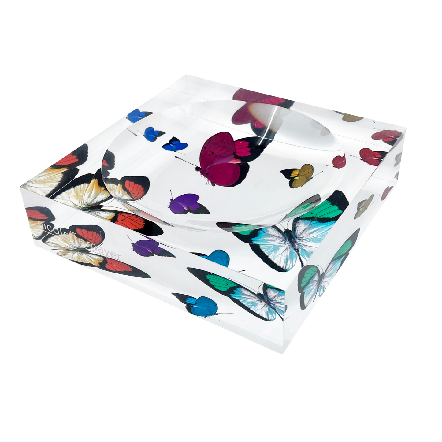 Butterflies Acrylic Catchall and Candy Dish and 6x6