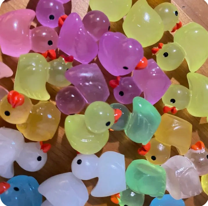 Glow in the Dark Acrylic Ducks (each)