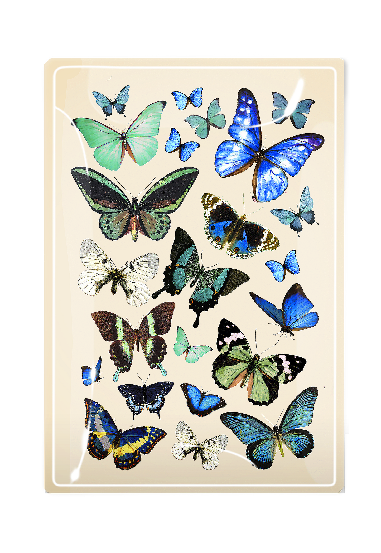 Blue Butterflies Decoupage Glass Tray