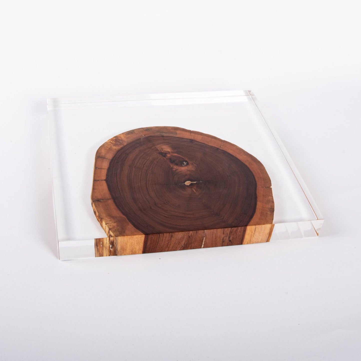 Resin and Rosewood Tray