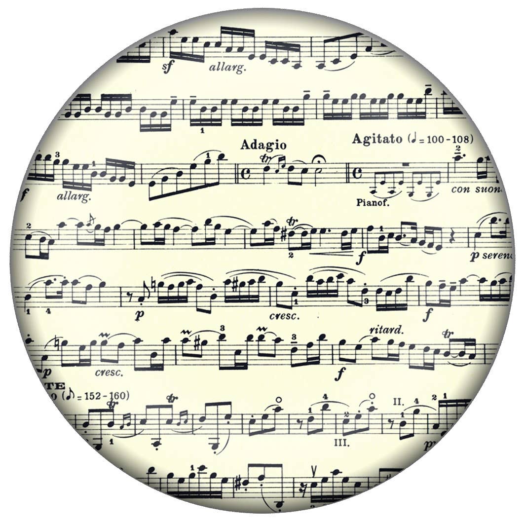 Music Notes Paperweight