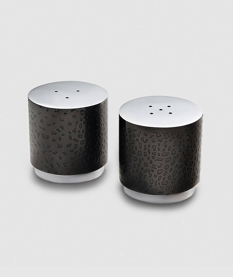 Transitional Stainless Salt & Pepper Set
