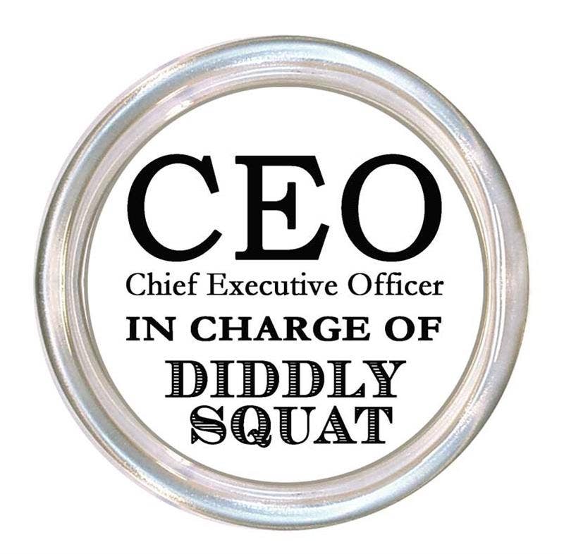 Chief Executive Officer Coaster