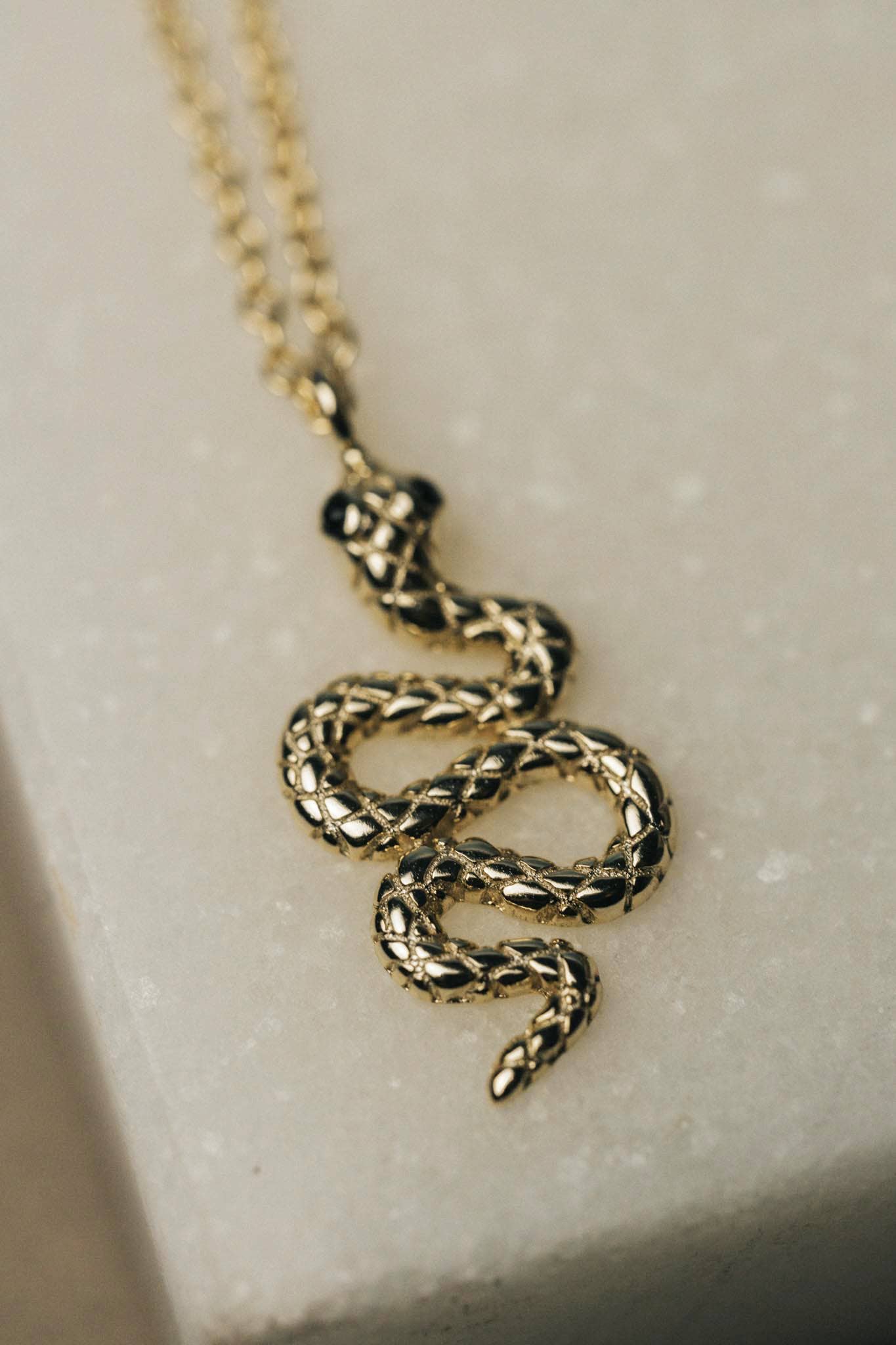 New Path Snake Necklace