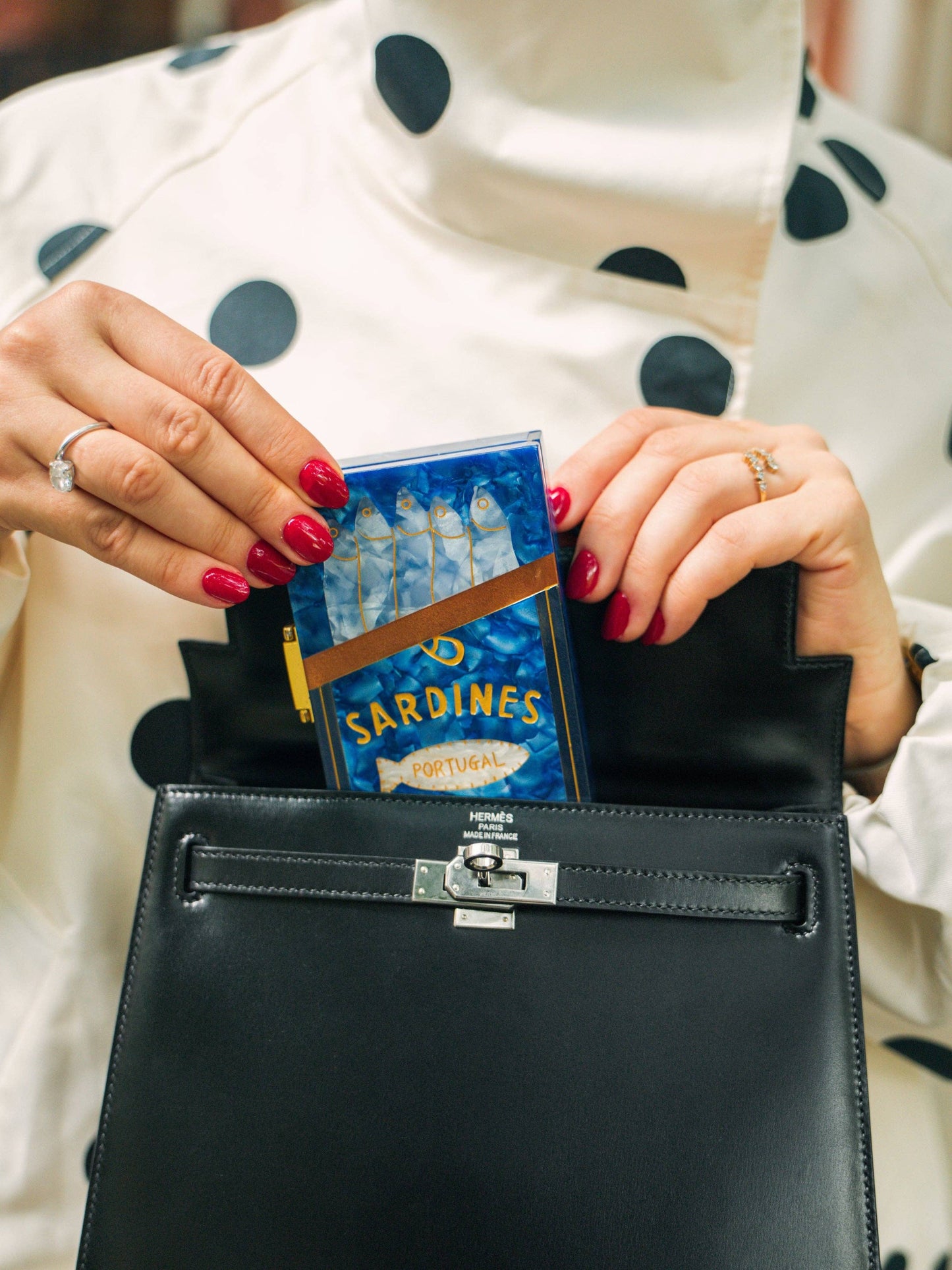Hand-painted Sardines Travel Jewelry Box