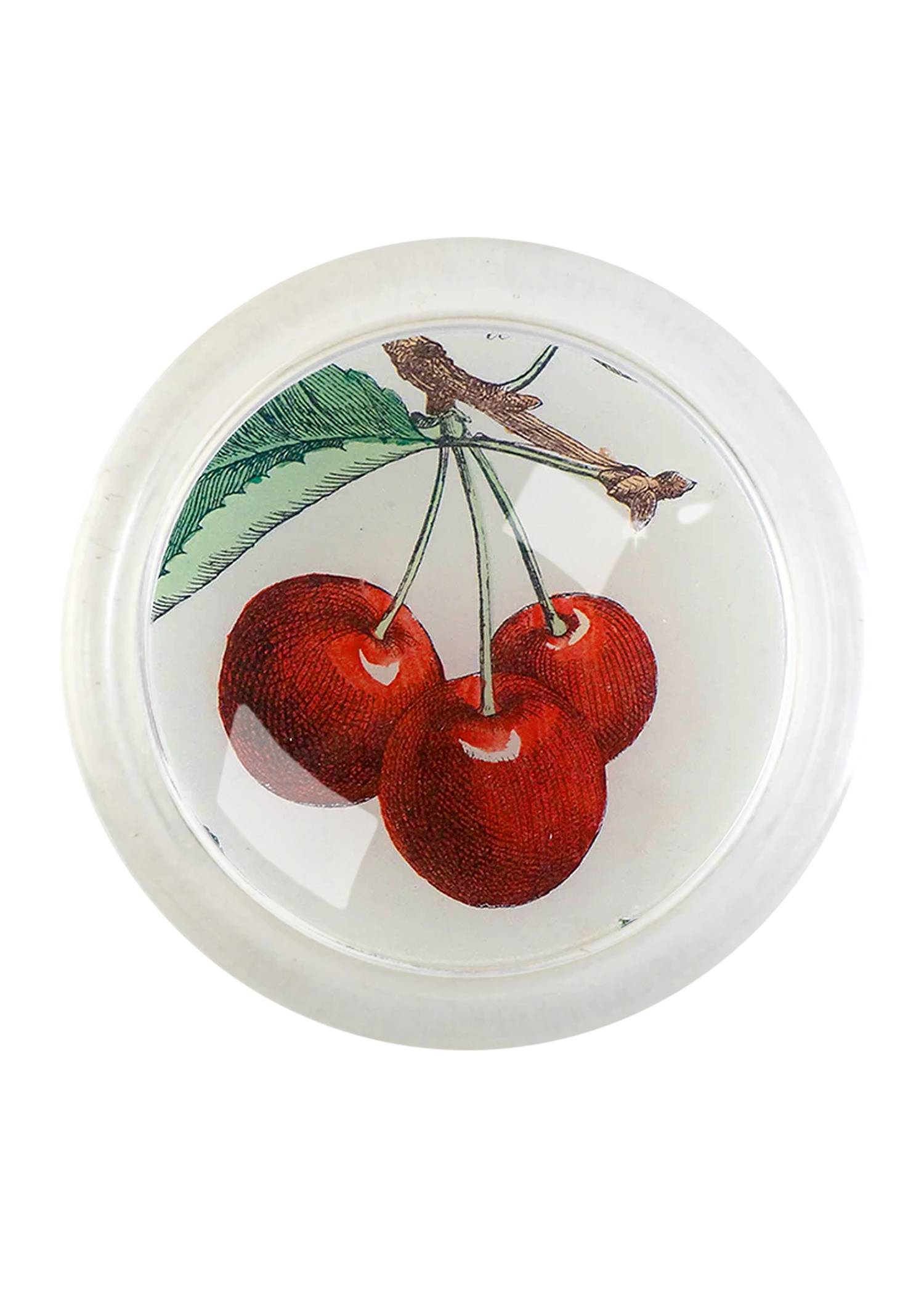 Ben's Garden Glass Coaster