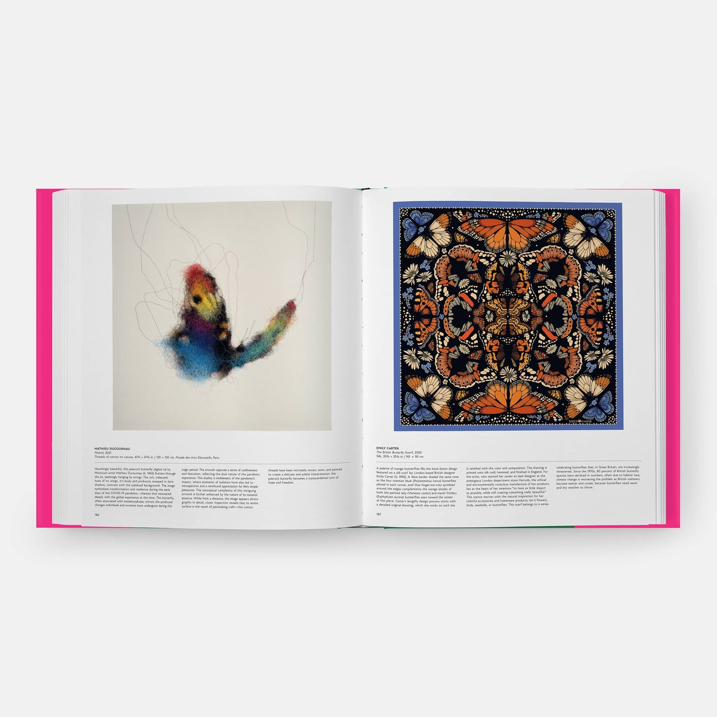 Butterfly: Exploring the World of Lepidoptera