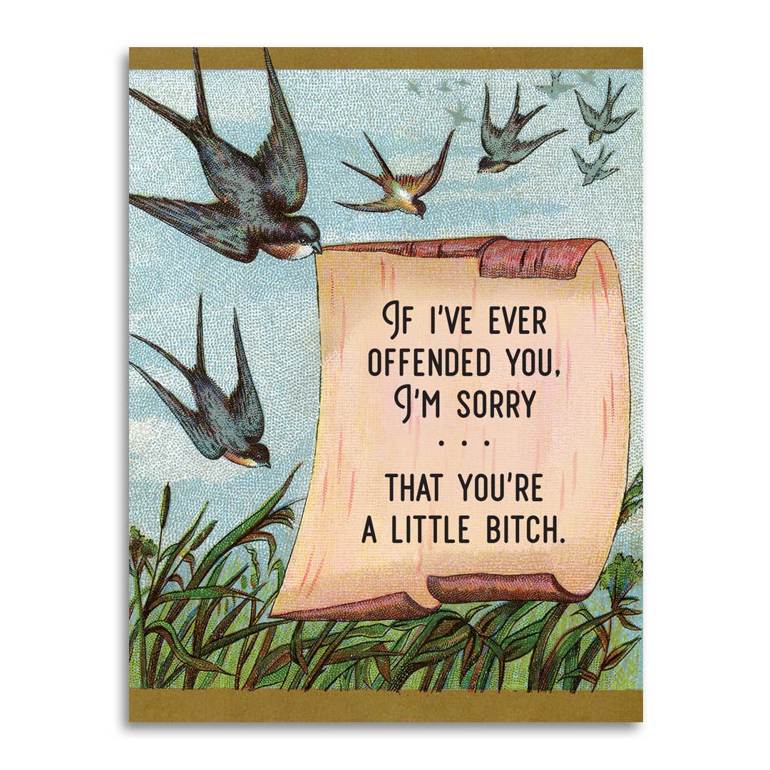 I'm Sorry If You're Offended (You're a Little Bitch)