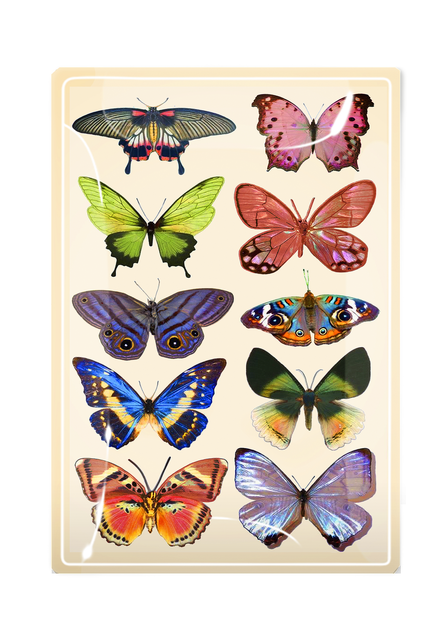 Wildflower Butterflies Decoupage Glass Tray
