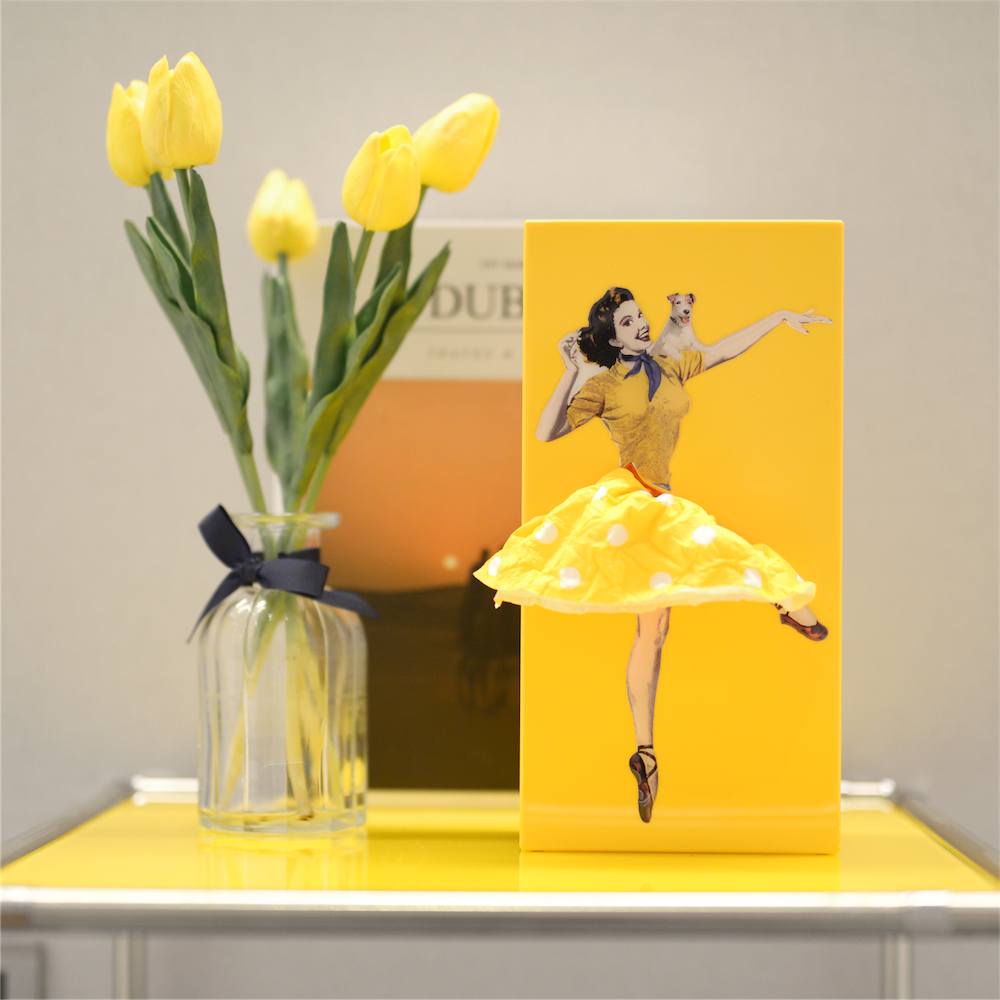 Flying Skirt Tissue Box