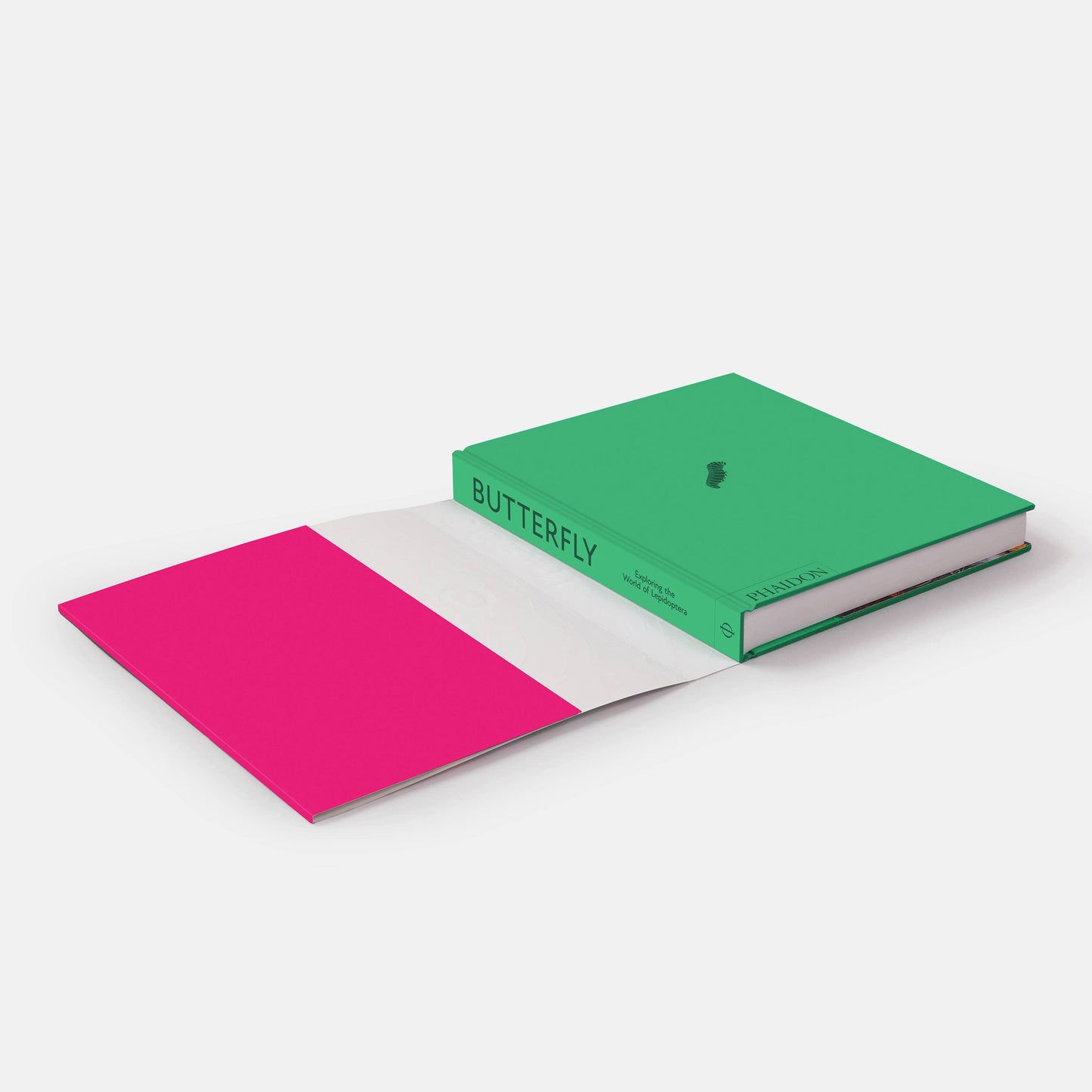 Butterfly: Exploring the World of Lepidoptera