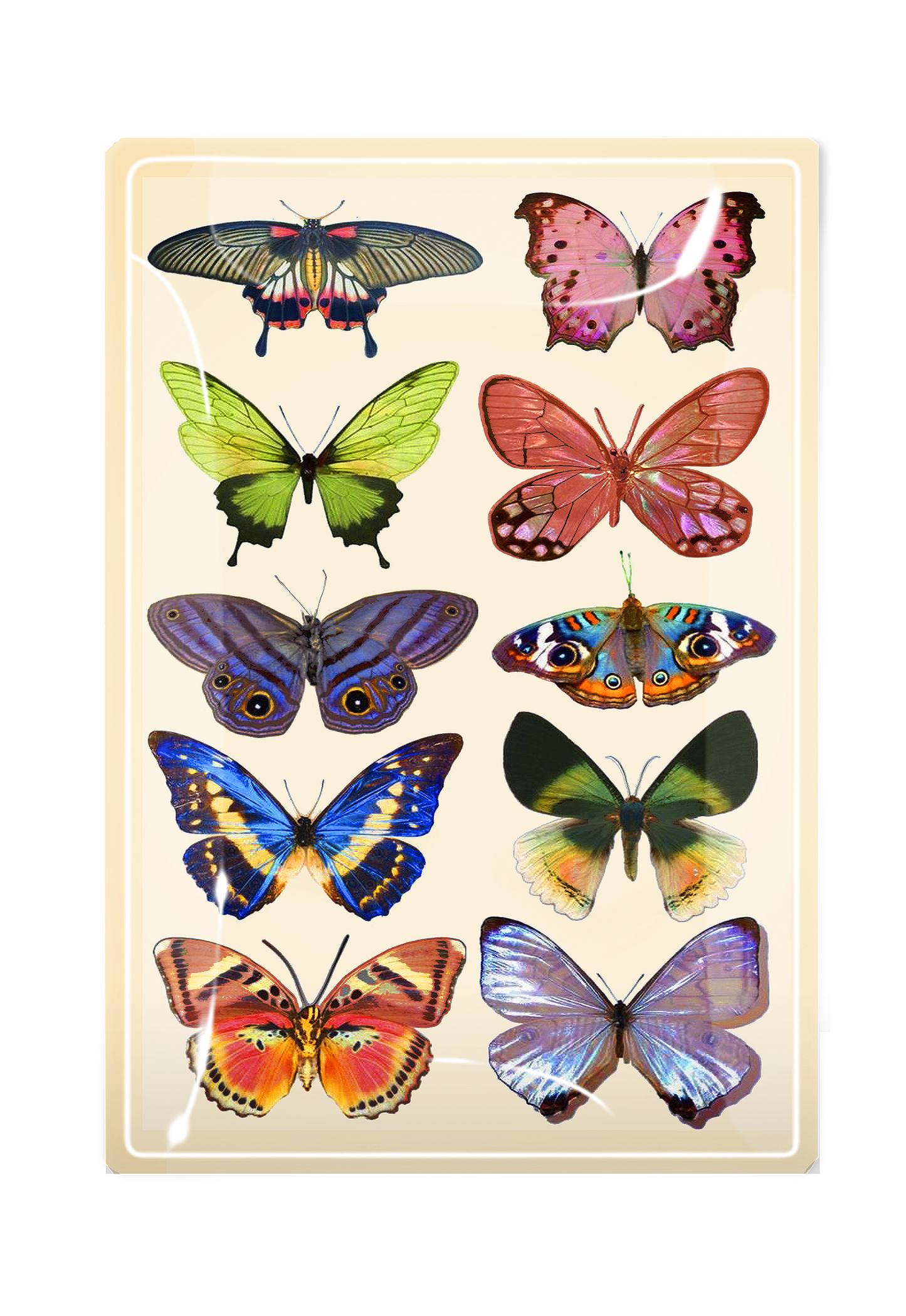 Wildflower Butterflies Decoupage Glass Tray