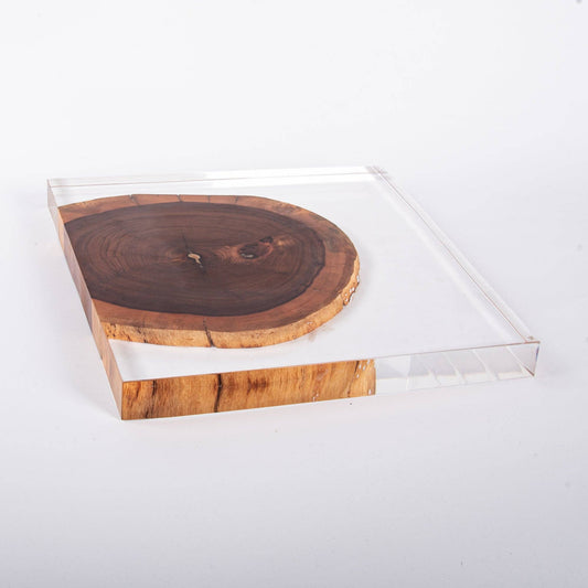 Resin and Rosewood Tray