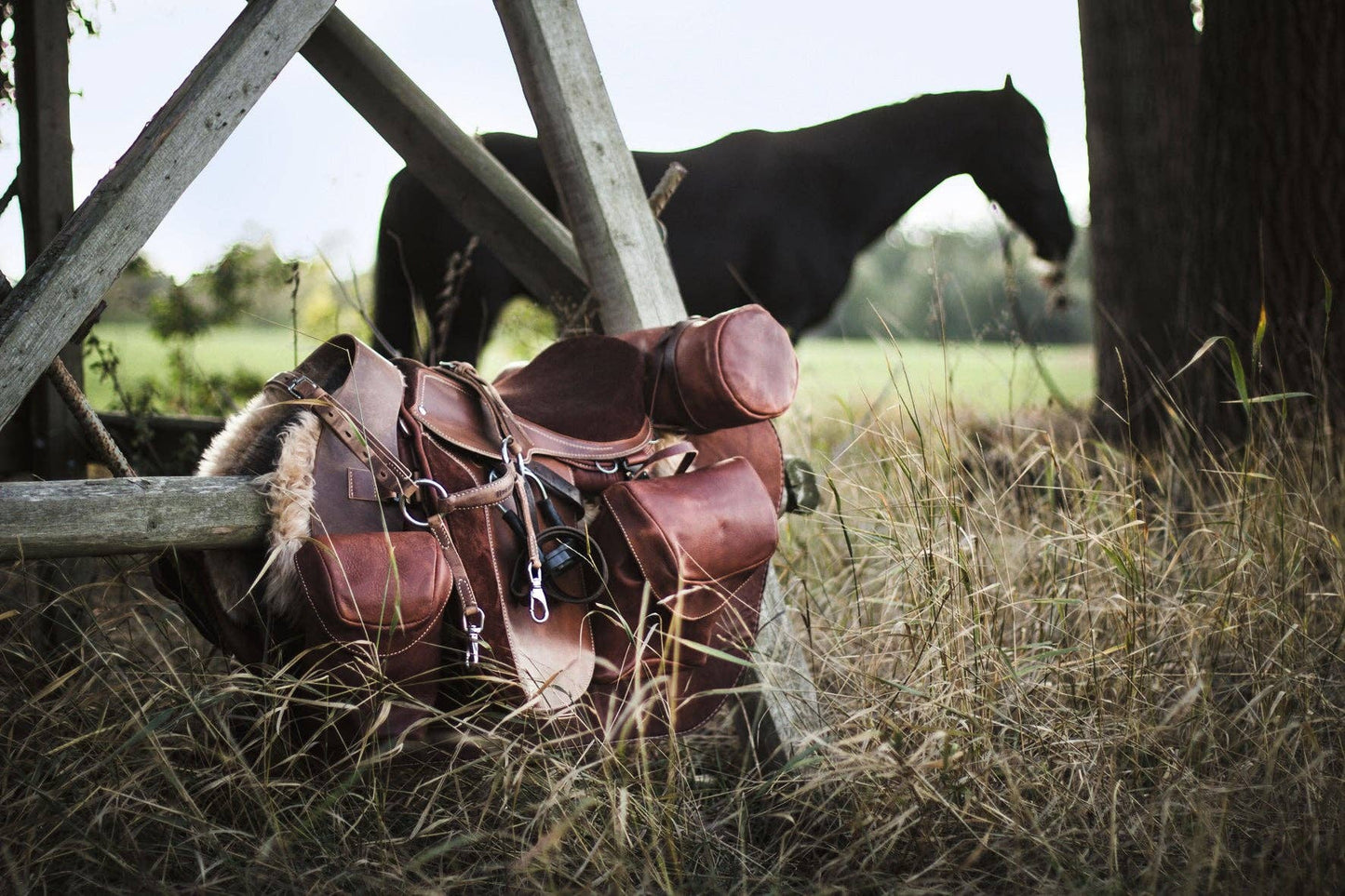 Equestrian - The Ultimate Book