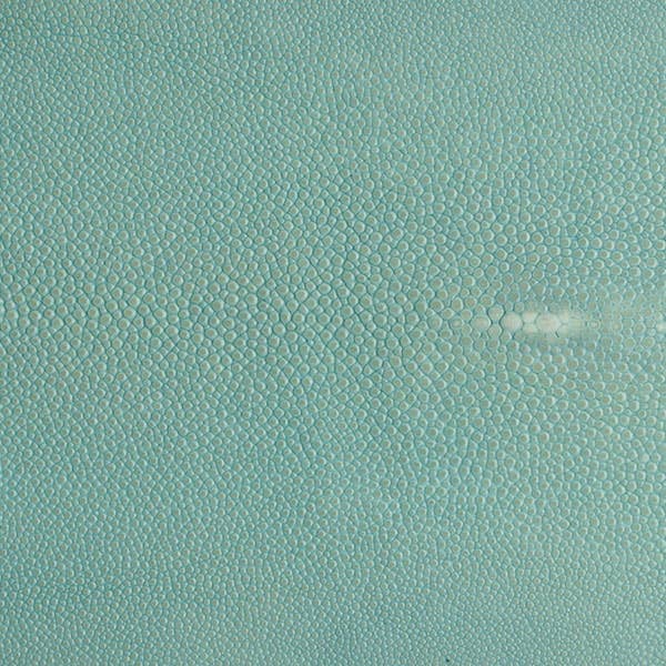 18" x 10" Hand Forged Stainless Steel Shagreen Tray