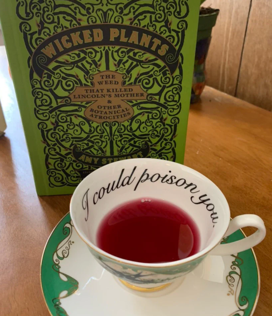 Havisham Green I could poison you teacup and saucer