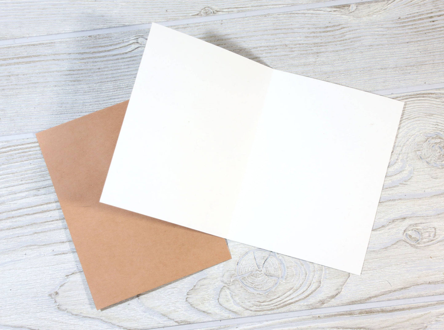 I'm Sorry If You're Offended (You're a Little Bitch)