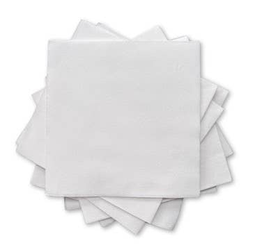 Cloth Like DInner Napkins