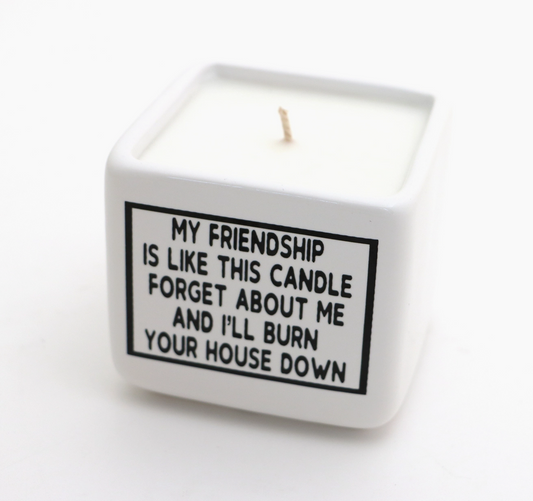 Hand poured 8 oz. soy unscented candle, My Friendship…