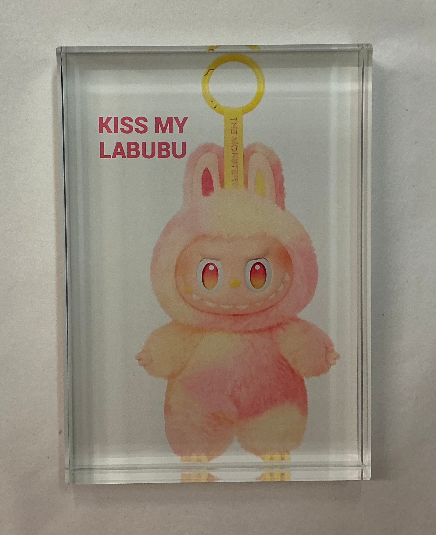 Glass Block Vibe- Kiss My Labubu   *Exclusive to Code Blue*