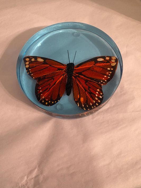 Butterfly Coaster (Handmade)
