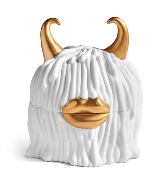 Haas Lynda Box + Plates (Set of 4) - White