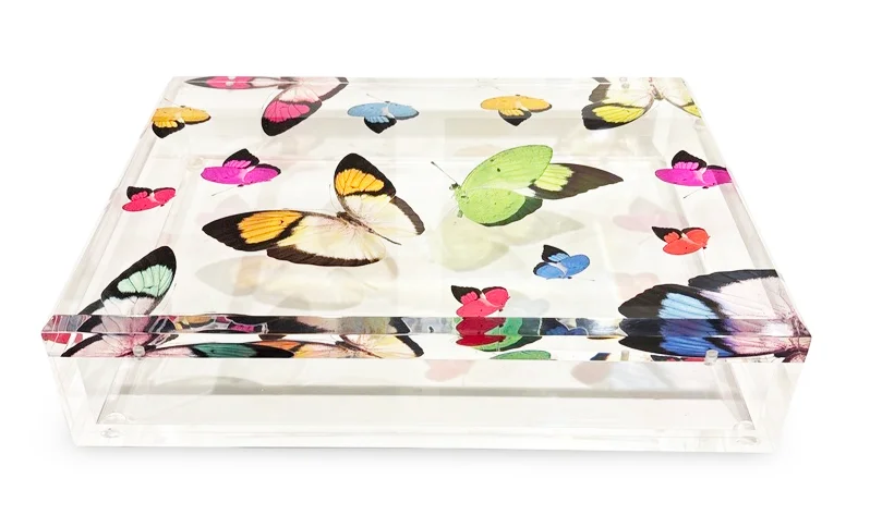 Transparent Butterflies Acrylic Box-  8"x 10" or 10"x 12"