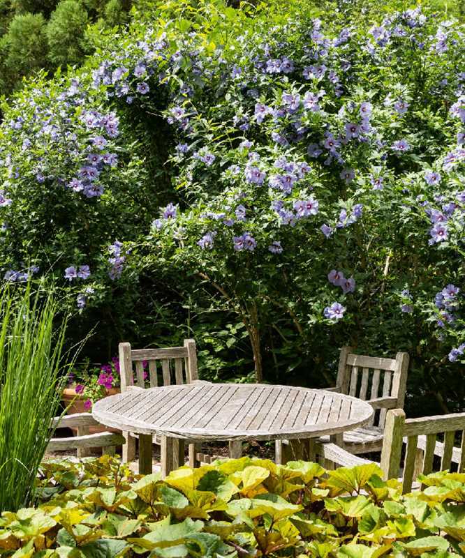 Gardens of the Hamptons by Blue Carreon
