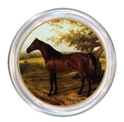 Bay Horse Facing Left Coaster