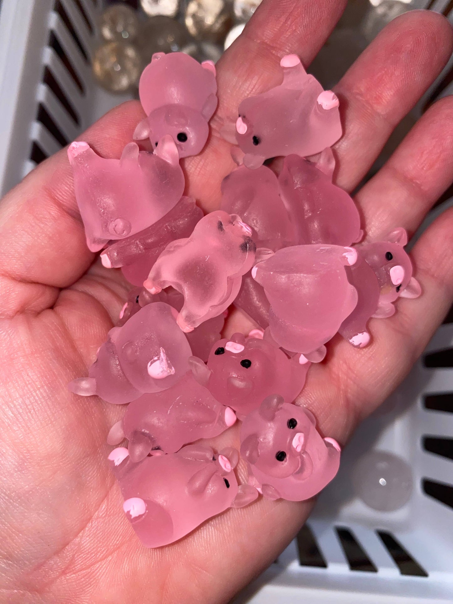 Glow in the Dark Acrylic Pigs (each)
