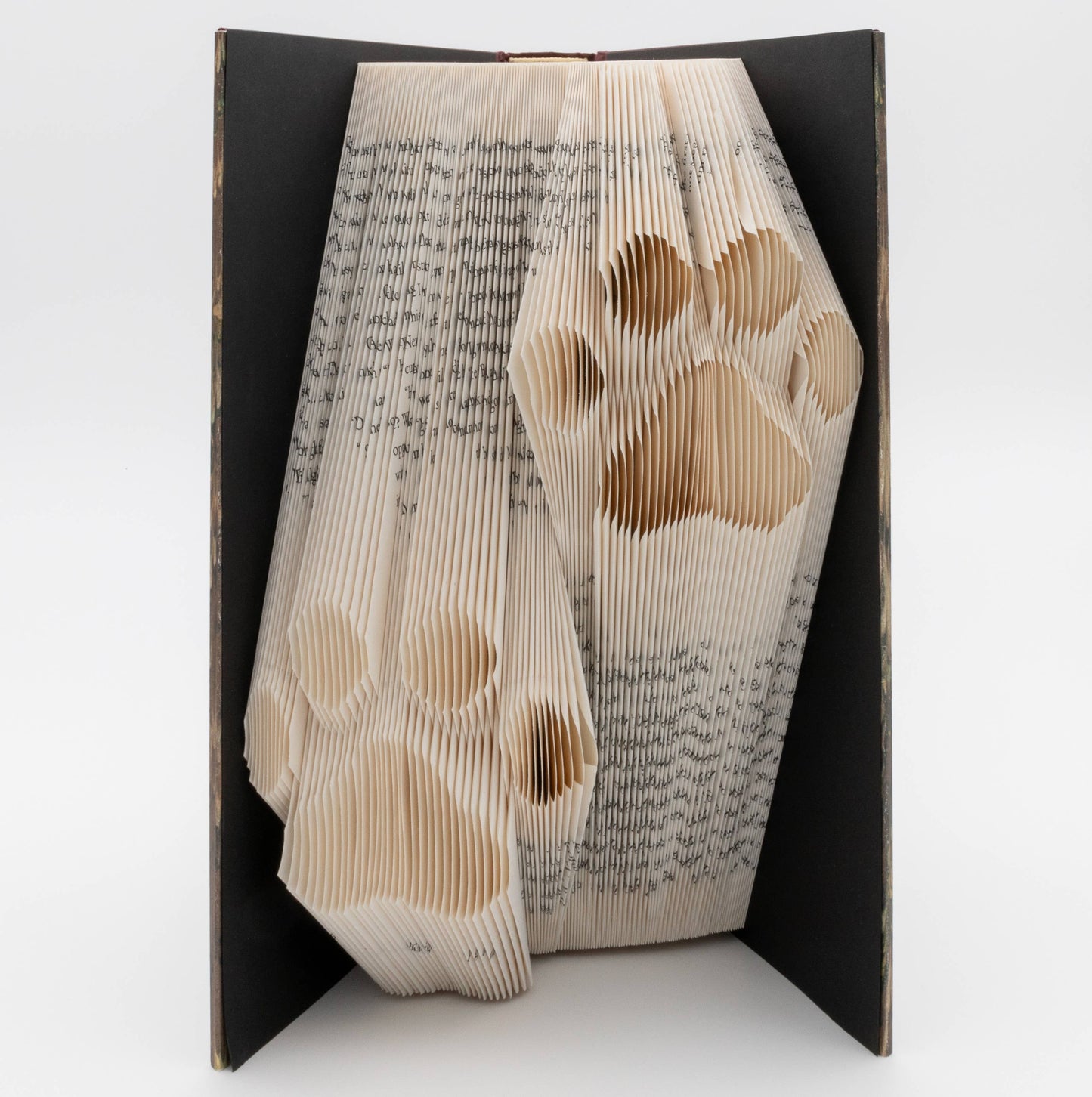 2-Paws Folded Pages Book