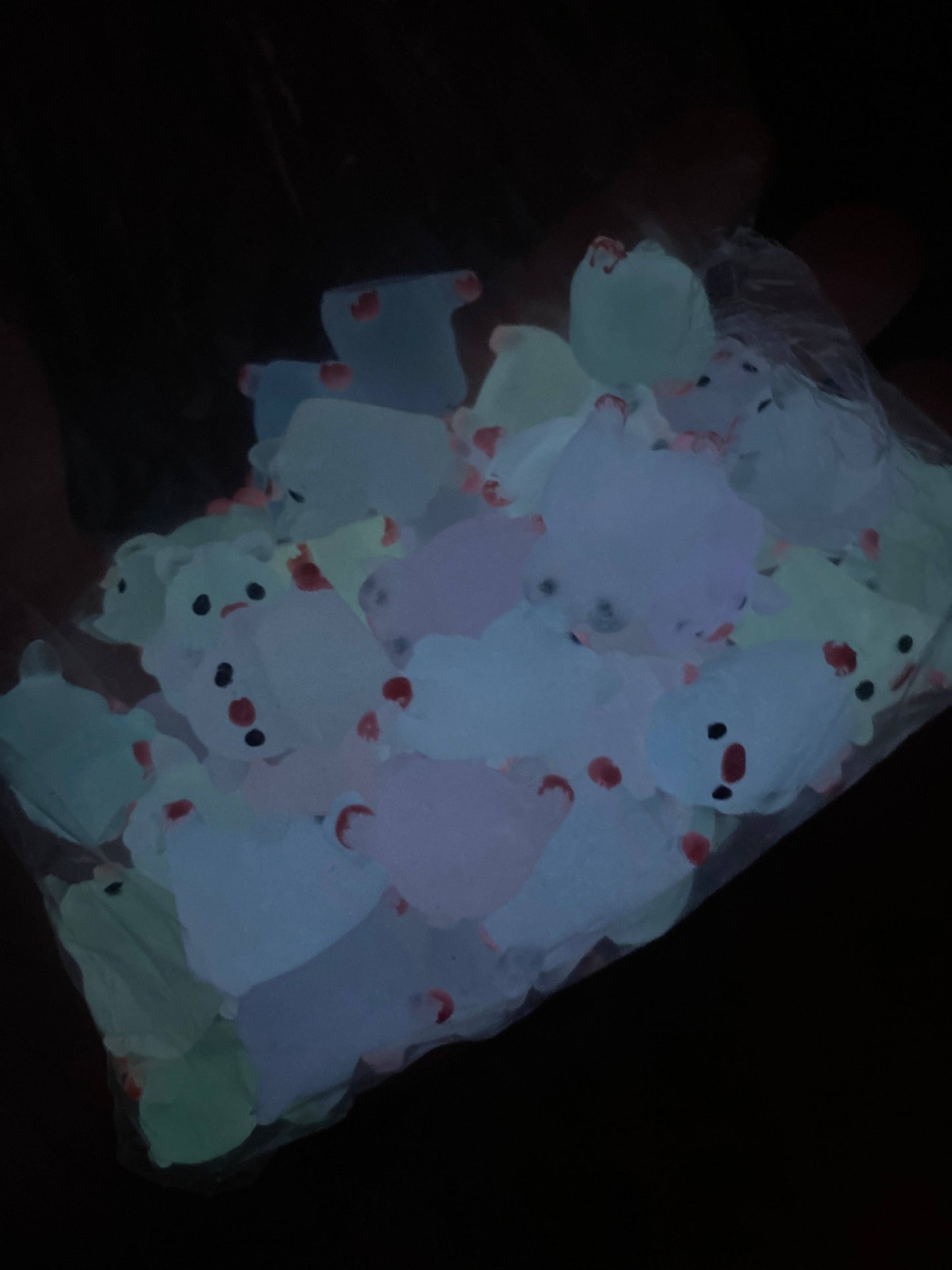 Glow in the Dark Acrylic Pigs (each)