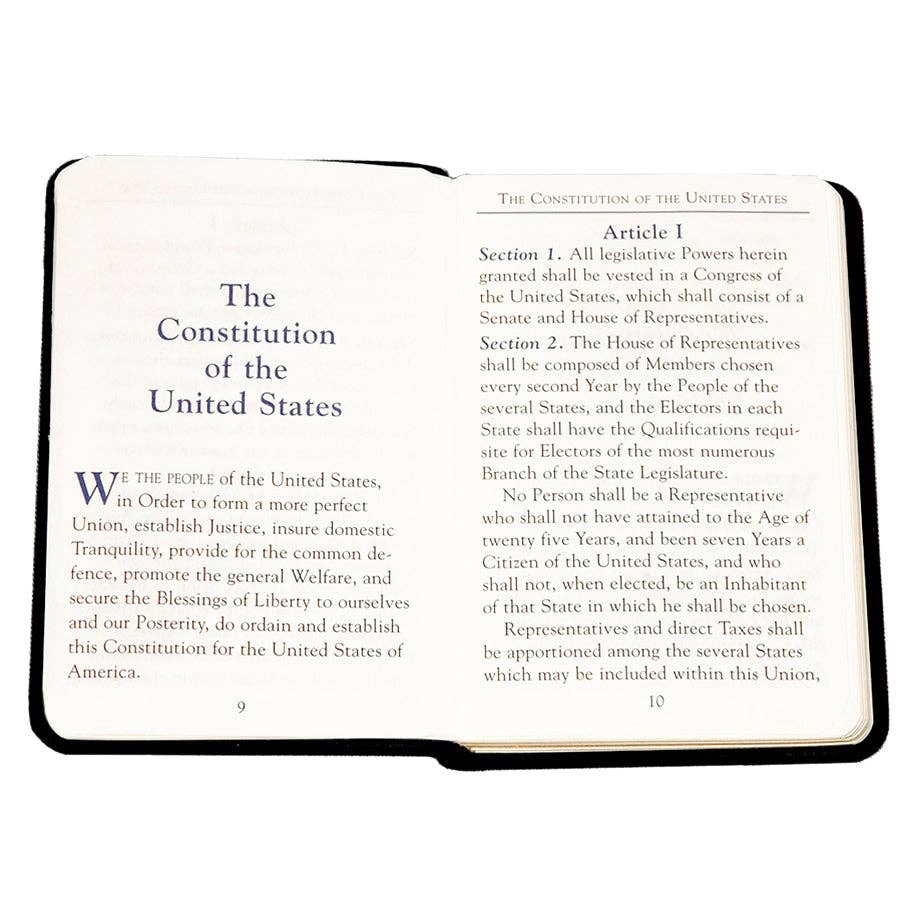 Mini United States Constitution