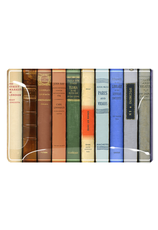New York Public Library Reserve Decoupage Glass Tray