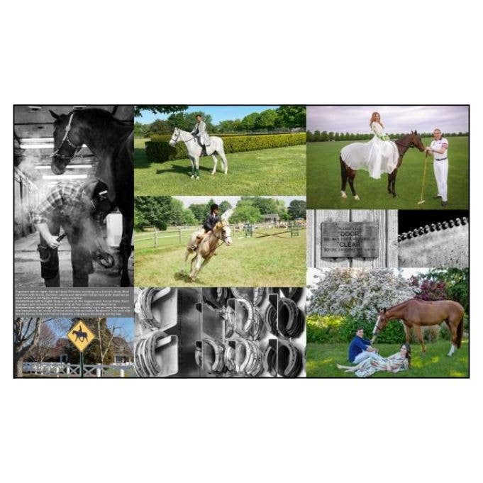 Equestrian Life in the Hamptons