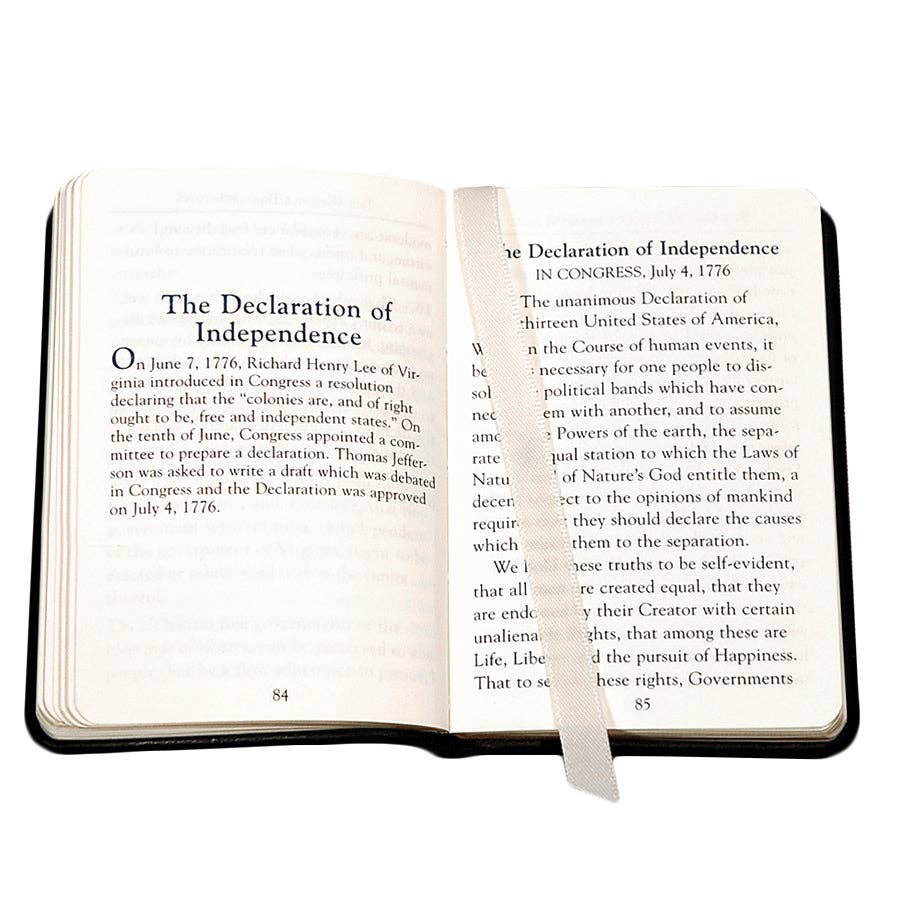 Mini United States Constitution