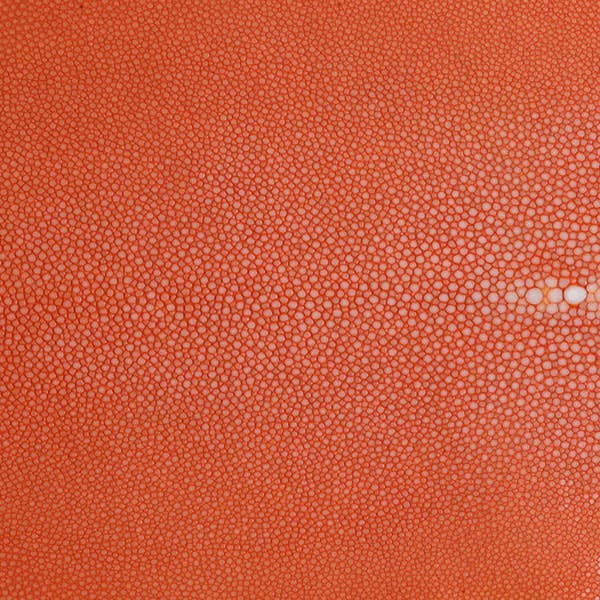 18" x 10" Hand Forged Stainless Steel Shagreen Tray