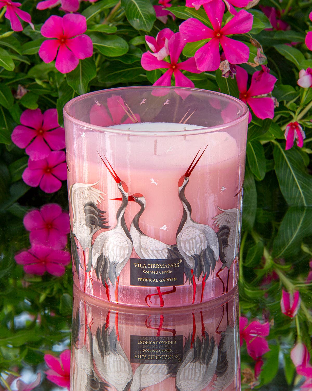 Candle in Jar- FLAMINGO PINK 650gr