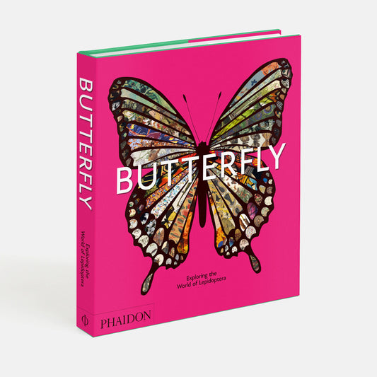 Butterfly: Exploring the World of Lepidoptera